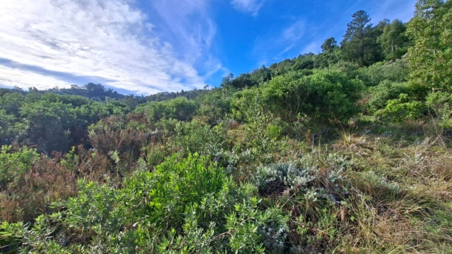 0 Bedroom Property for Sale in Simola Western Cape